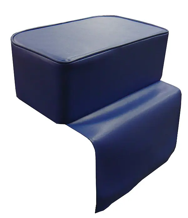 Child booster seat blue