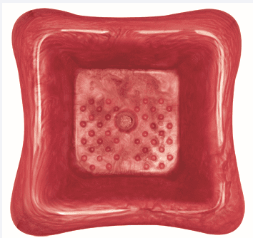 Poly Crystal Red Pedicure Spa Bowl